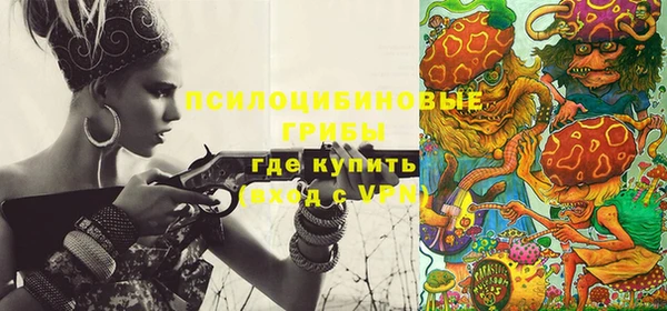 крисы Балахна