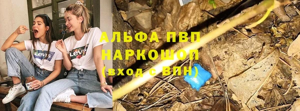 крисы Балахна
